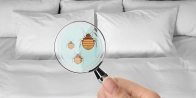 Bed Bug Treatment in Ottawa K0A 0A4
