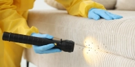 Bed Bug Treatment in Brampton L4T 3L8