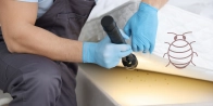 Bed Bug Treatment in Hamilton L8P 4Y5